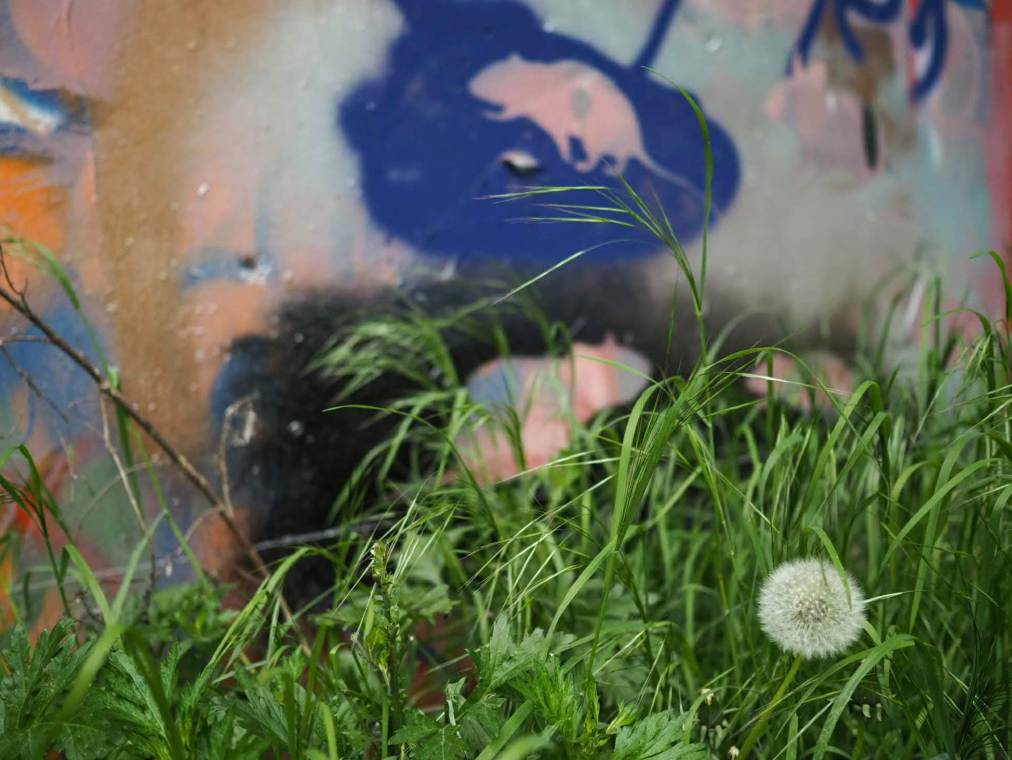 You’re Awesome, BUT…