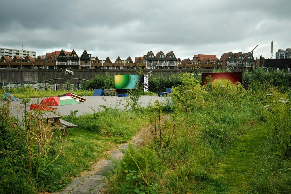 The Social Heebie&nbsp;Jeebies