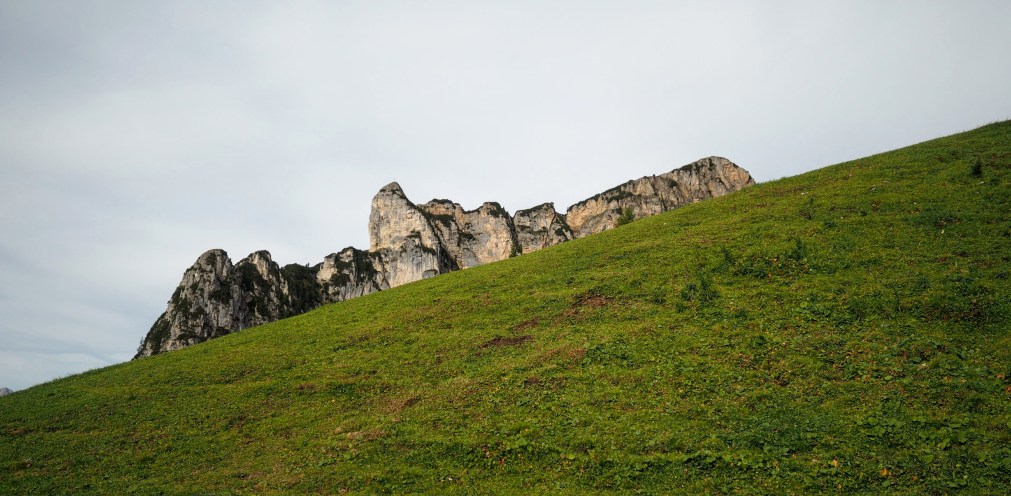 It’s All About&nbsp;Love