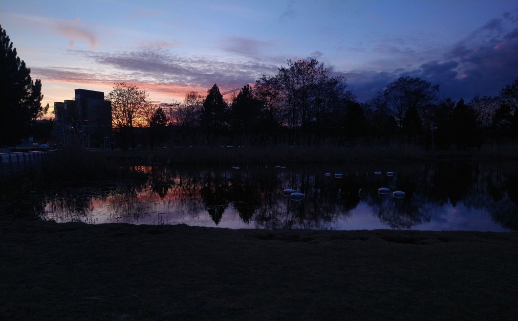 My Heavy, Hollow&nbsp;Heart